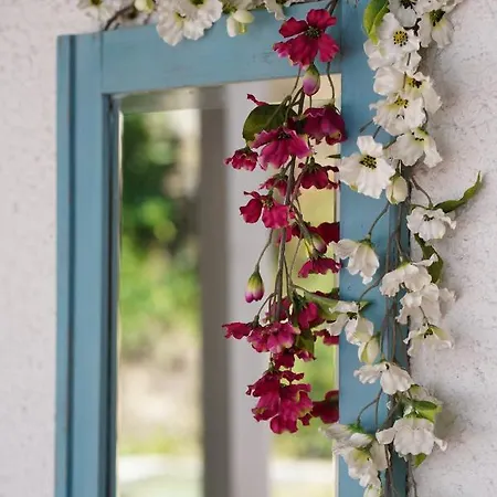 Tea House Casa vacanze *